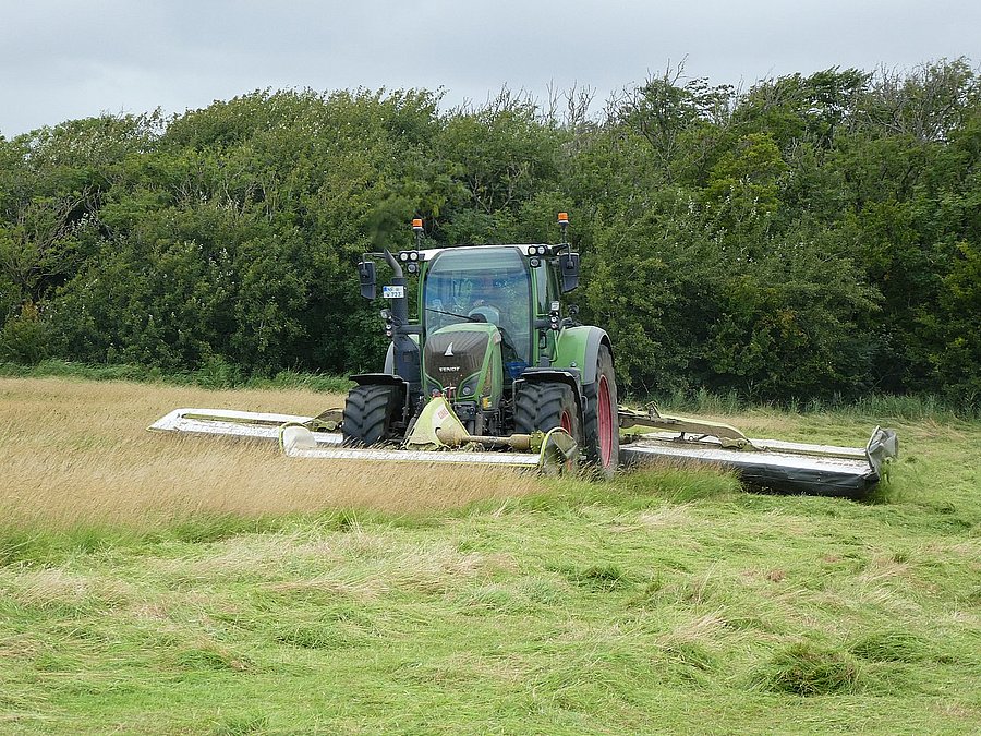 Ein Schlepper mit angebautem Kreiselmähwerk auf beiden Seiten und direkt hinter dem Schlepper mäht eine Wiese. Der noch stehende Bewuchs vor dem Schlepper ist im oberen Drittel bereits braun verfärbt.